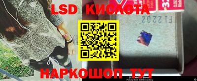 2c-b Кингисепп