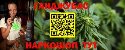 2c-b Кингисепп