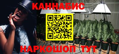 2c-b Кингисепп