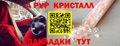 2c-b Кингисепп