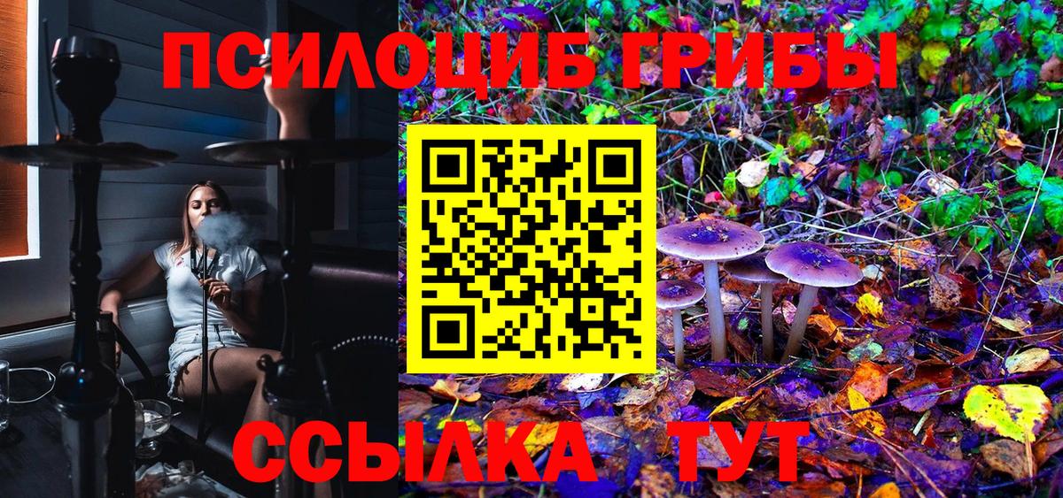 Псилоцибиновые грибы Psilocybe  Галлюциногенные грибы мицелий  Вход с VPN  Мурино 